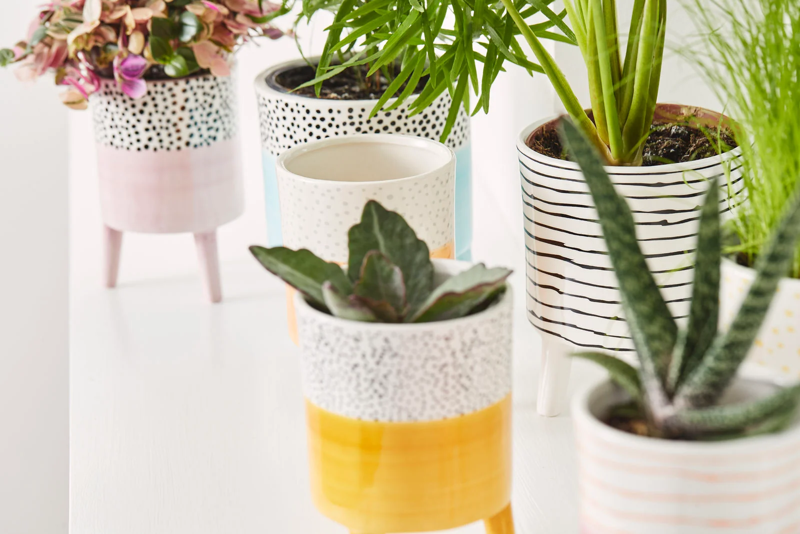 Bahne Ceramic Planter Spotty Yellow - Image 3