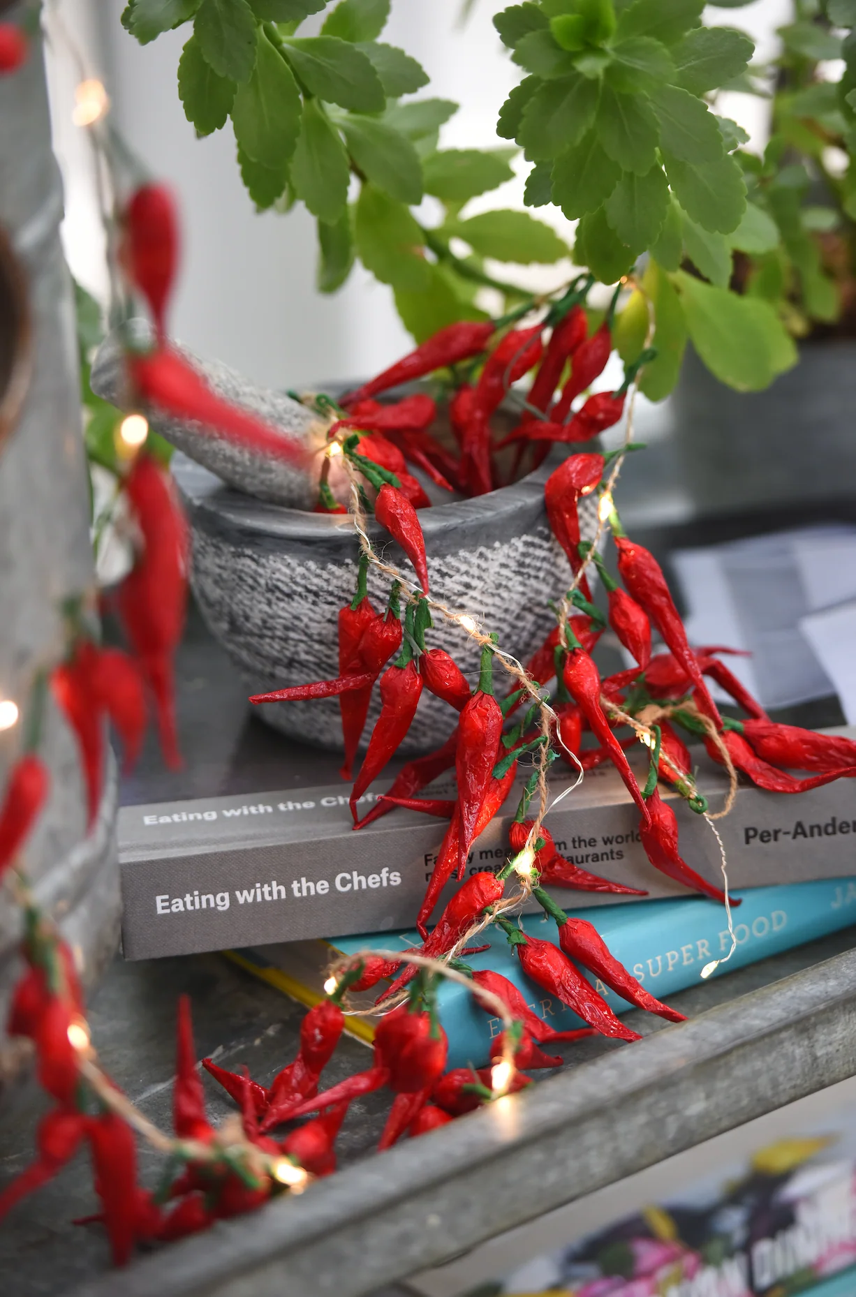 Chilli Pepper LED Fairy Lights - Image 7
