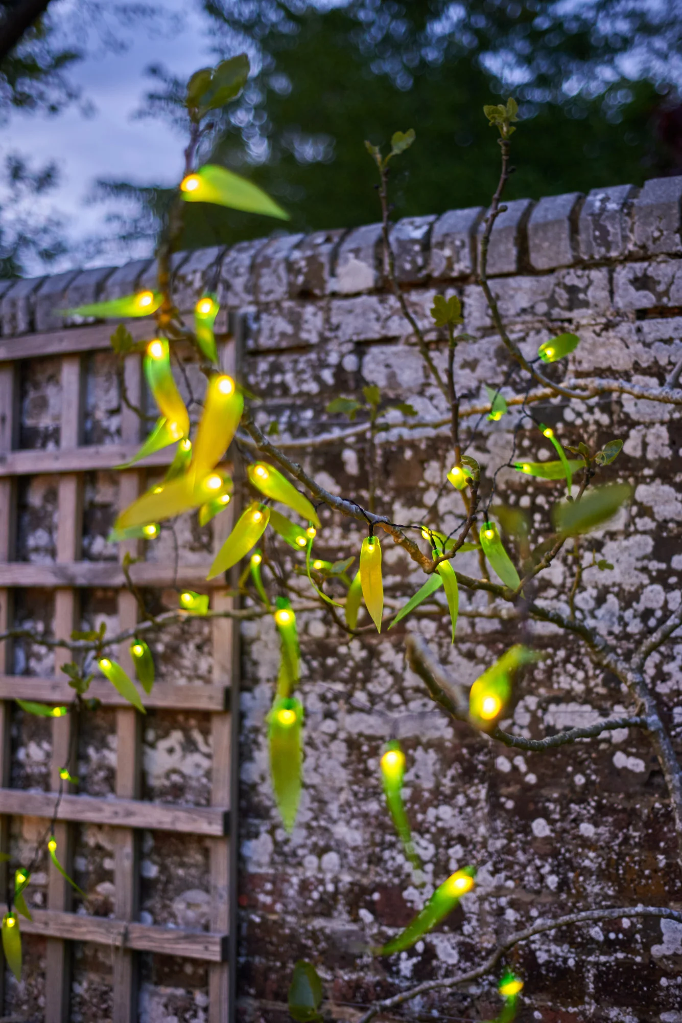 Solar powered Leaf Fantasy LED Fairy light - Image 3