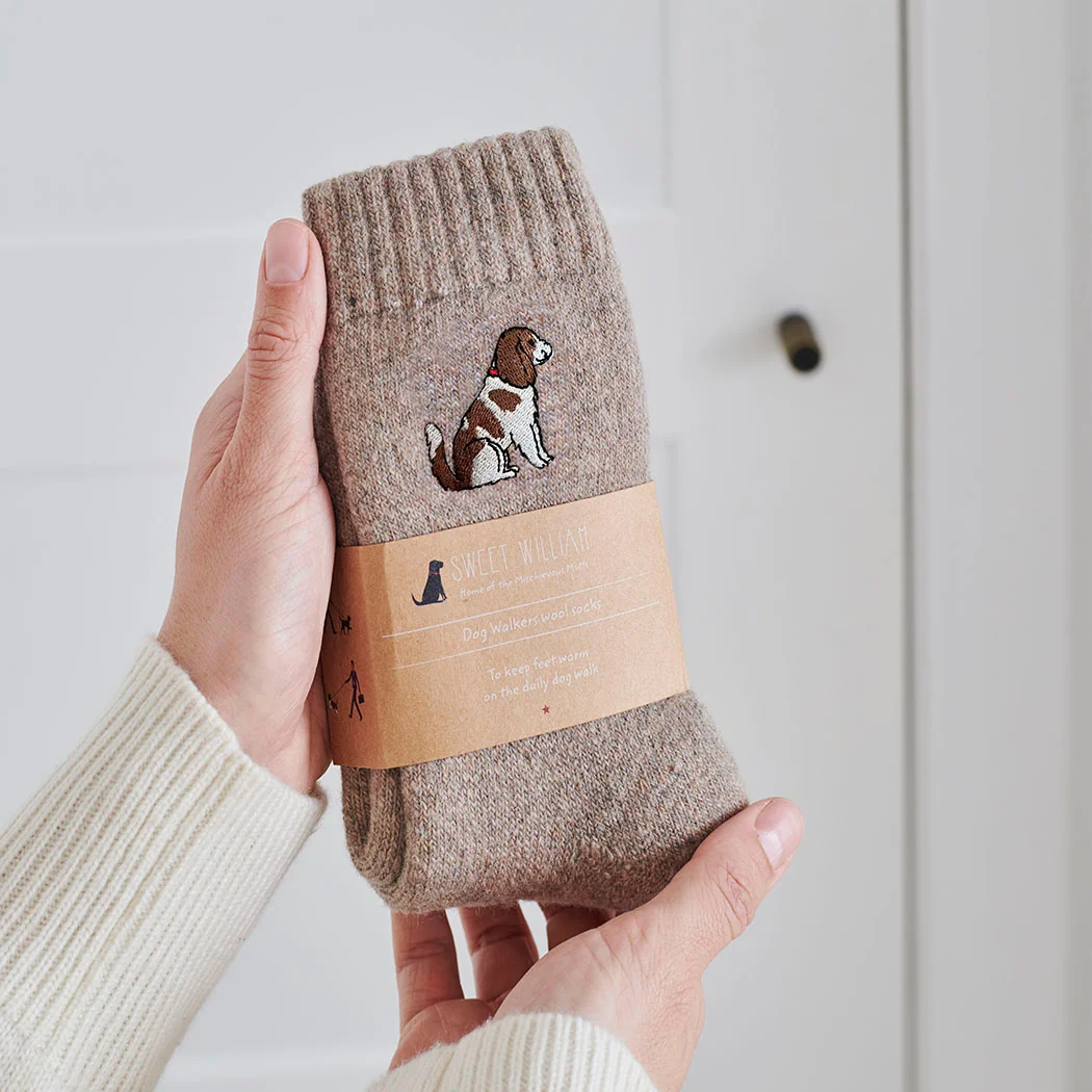 Sweet William Dog Walker Socks, King Charles Cavalier