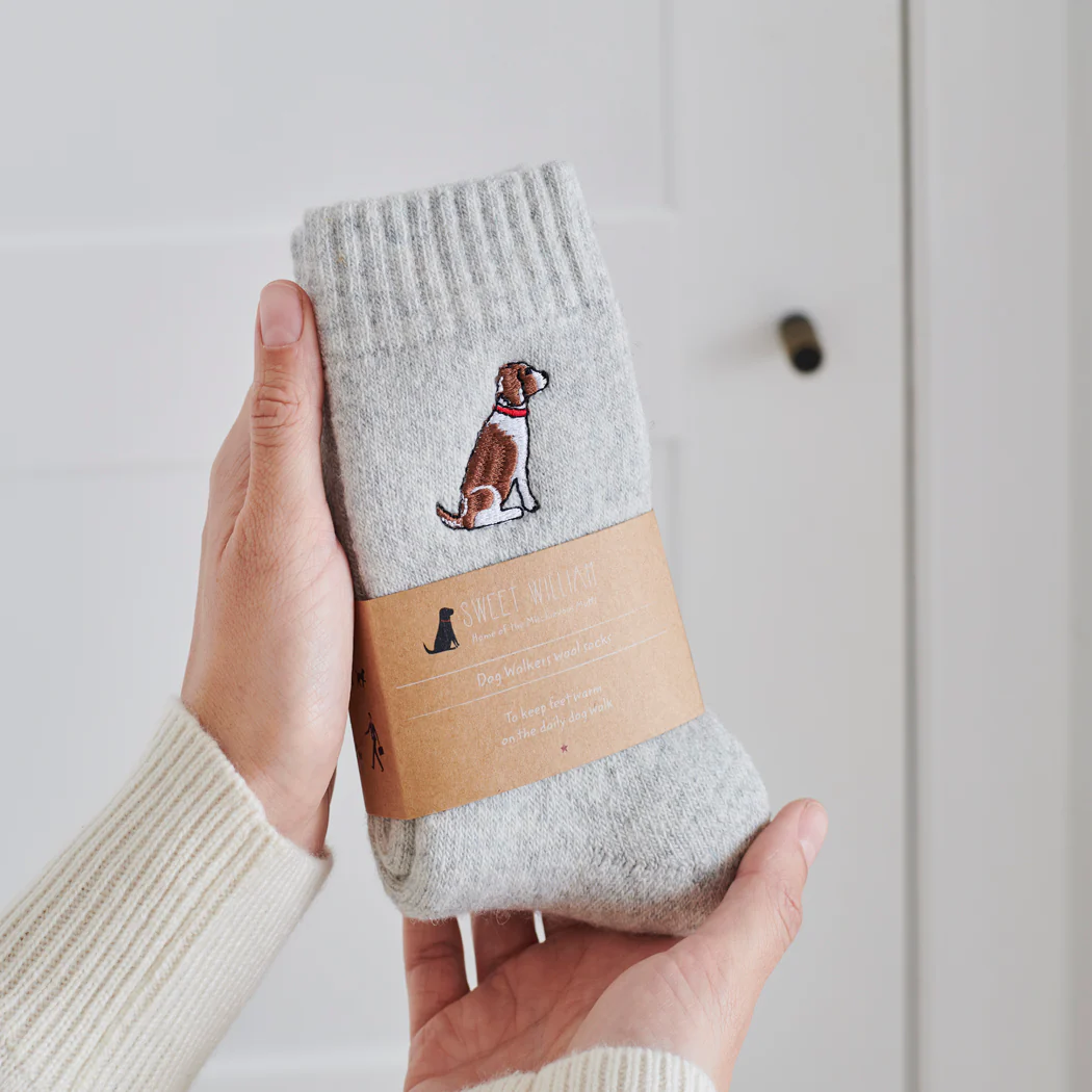 Sweet William Dog Walker Socks, Springer Spaniel, Brown & White