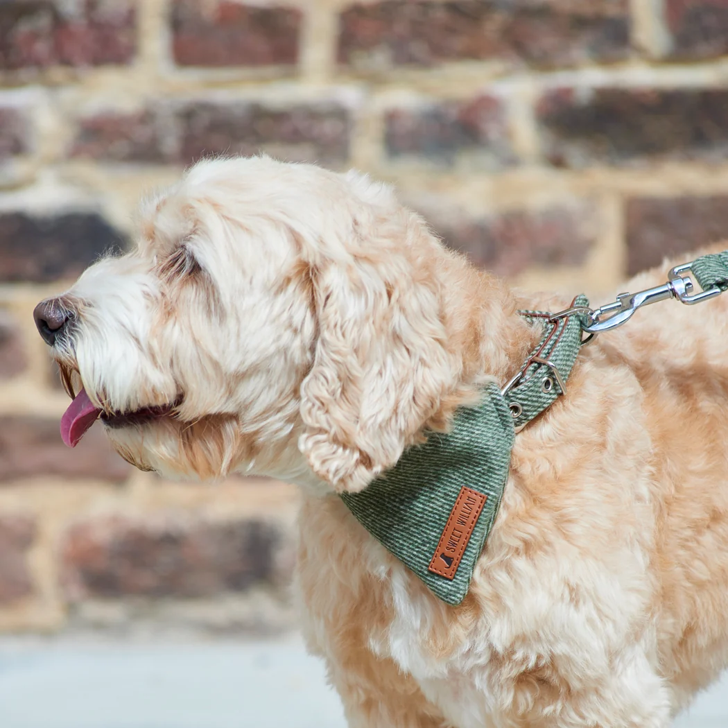 Sweet William Tweed Dog Bandana, Green - Image 3