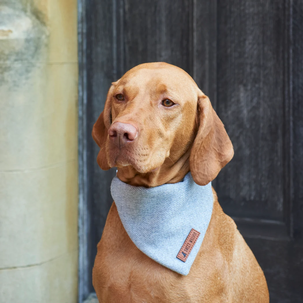 Sweet William Tweed Dog Bandana, Grey - Image 2