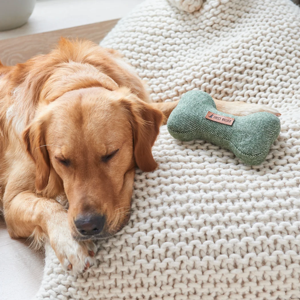 Sweet William Tweed Dog Bone Toy, Green - Image 9