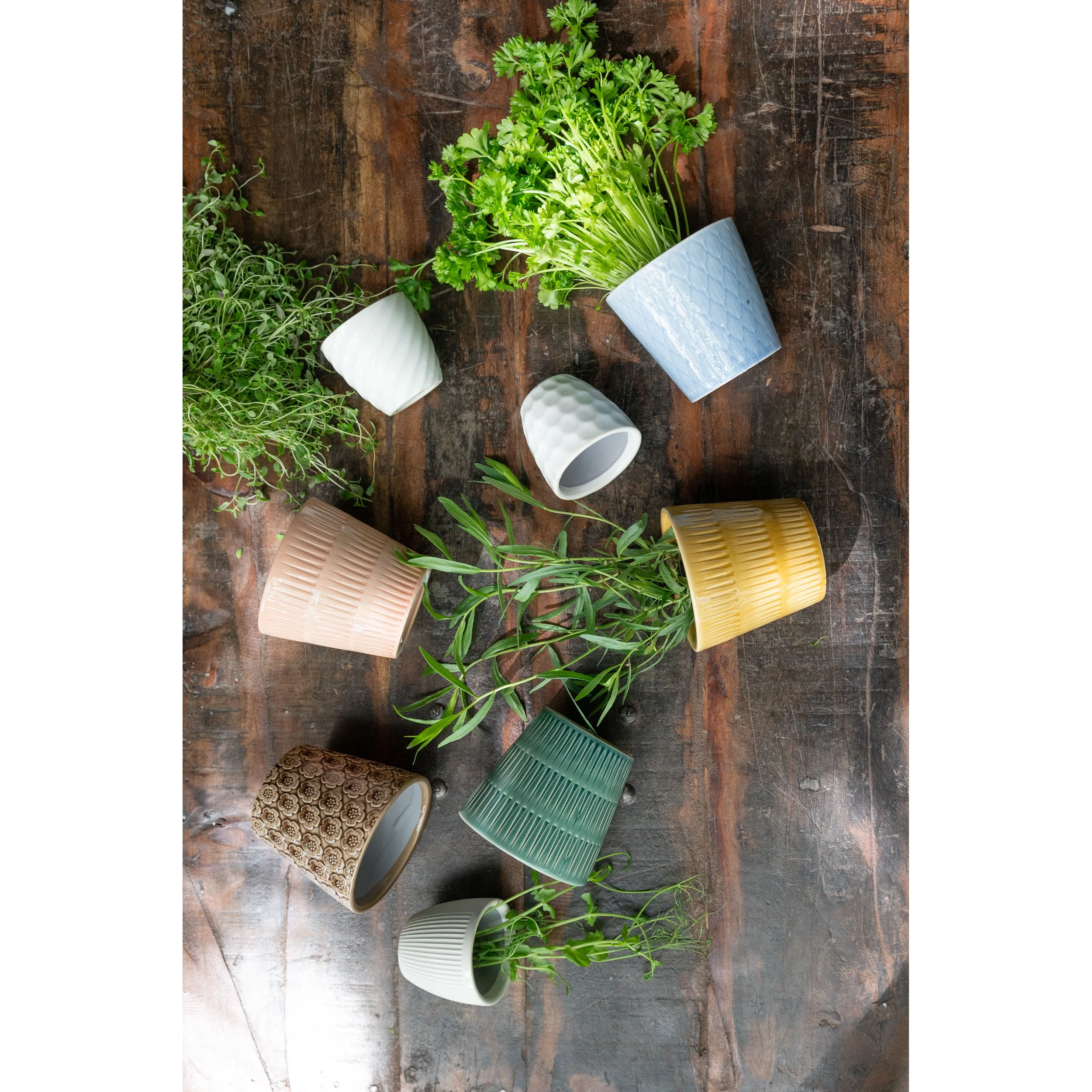 Wikholm Majken Ceramic Mini Plant Pots, Yellow  (Set Of 3) - Image 5